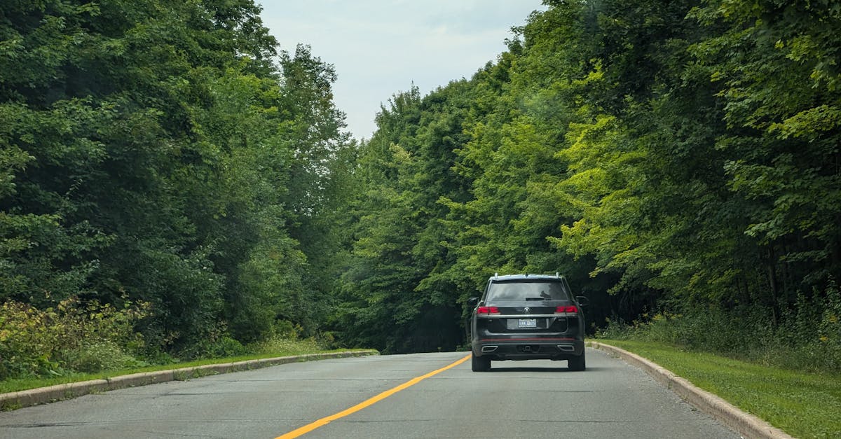 découvrez les meilleures options d'assurance auto pour protéger votre véhicule et votre budget. comparez les offres, bénéficiez de conseils d'experts et trouvez la couverture qui vous convient le mieux.