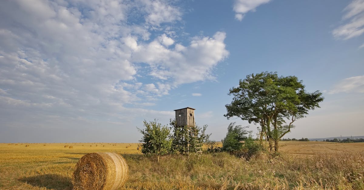 découvrez day insurance, votre partenaire pour des solutions d'assurance adaptées à vos besoins quotidiens. profitez d'une couverture flexible et abordable qui vous protège à chaque étape de votre vie. obtenez un devis personnalisé dès aujourd'hui !