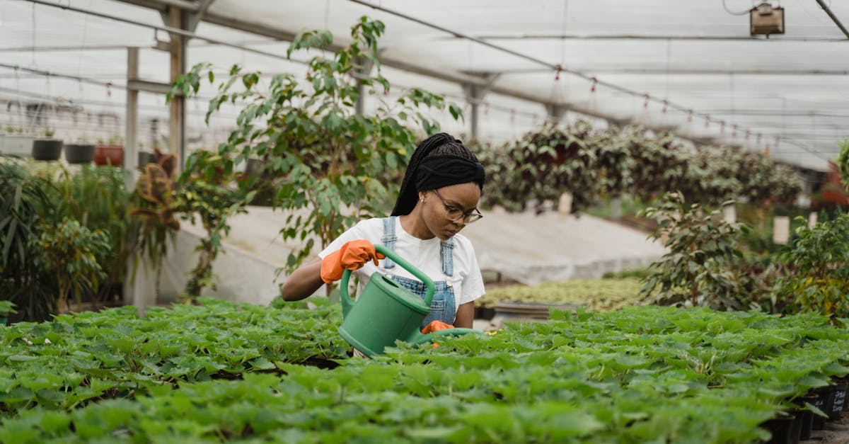 découvrez des solutions éco-responsables et des astuces pratiques pour un mode de vie durable. adoptez des choix respectueux de l'environnement et contribuez à la préservation de notre planète.