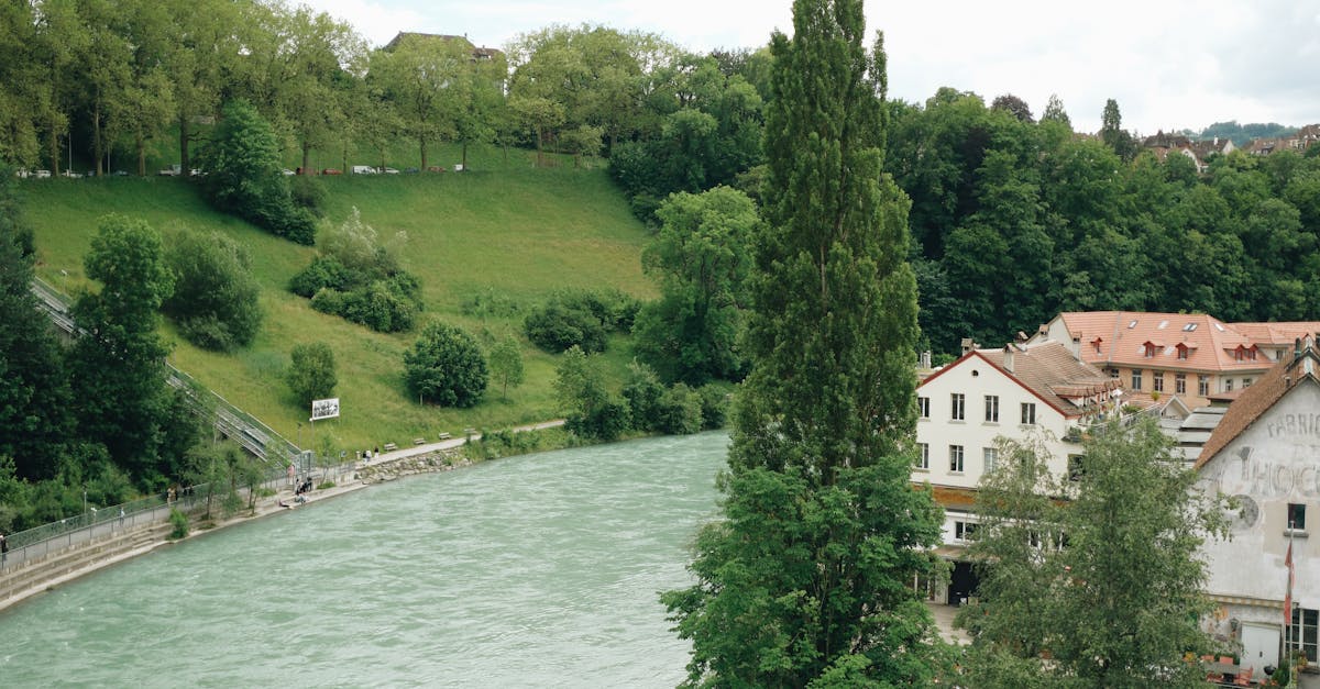 découvrez l'assurance verte, une solution innovante qui protège votre avenir tout en respectant l'environnement. protégez vos biens et contribuez à un monde durable avec notre couverture écologique.