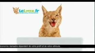 découvrez lynx assurance, votre partenaire pour des solutions d'assurance adaptées à vos besoins. profitez d'offres compétitives, d'une protection fiable et d'un service client de qualité. protégez votre avenir dès aujourd'hui!