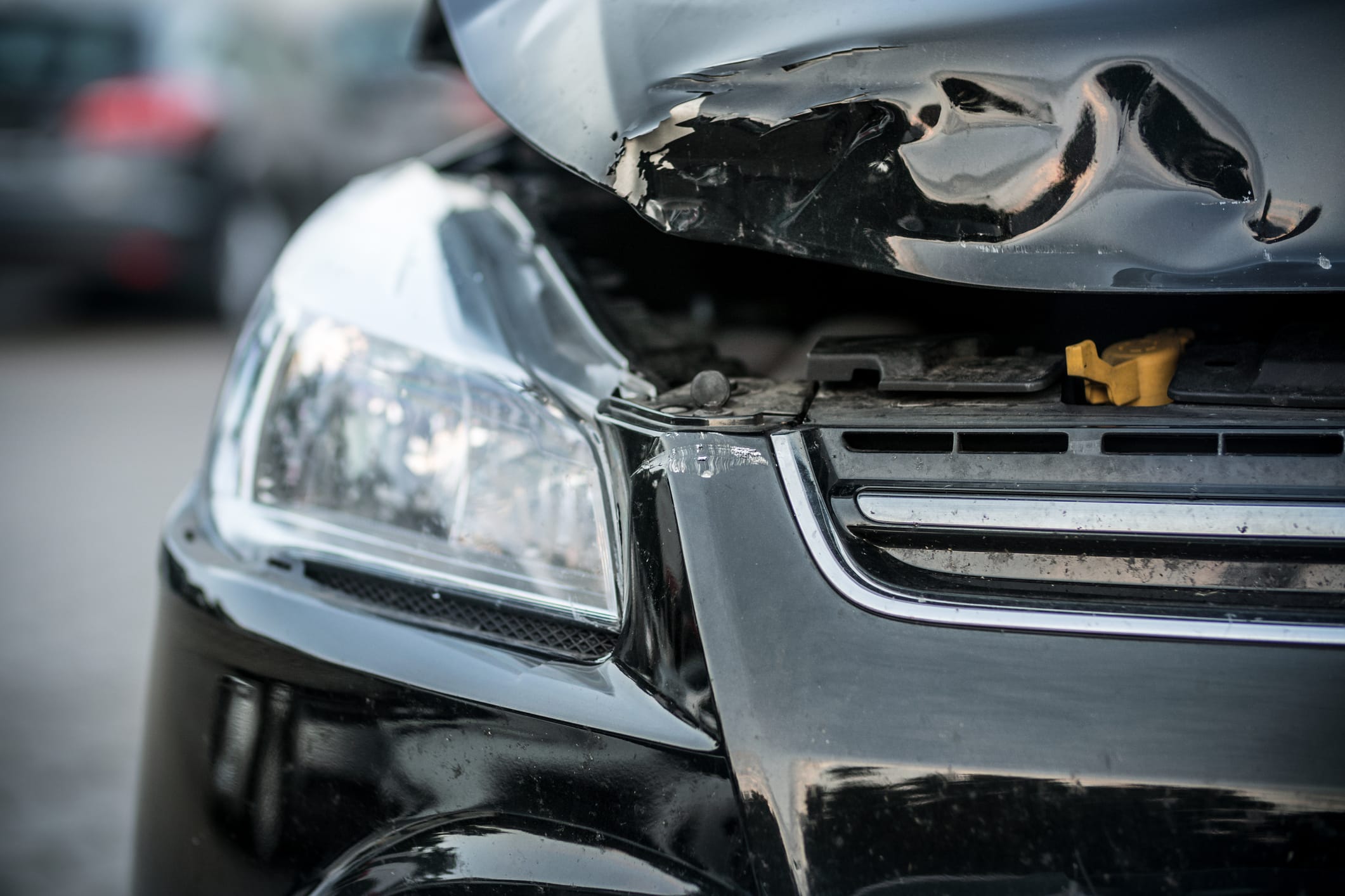 découvrez comment protéger vos furets tout en assurant votre véhicule. informez-vous sur les polices d'assurance auto adaptées aux propriétaires d'animaux et garantissez leur bien-être en toute sérénité.