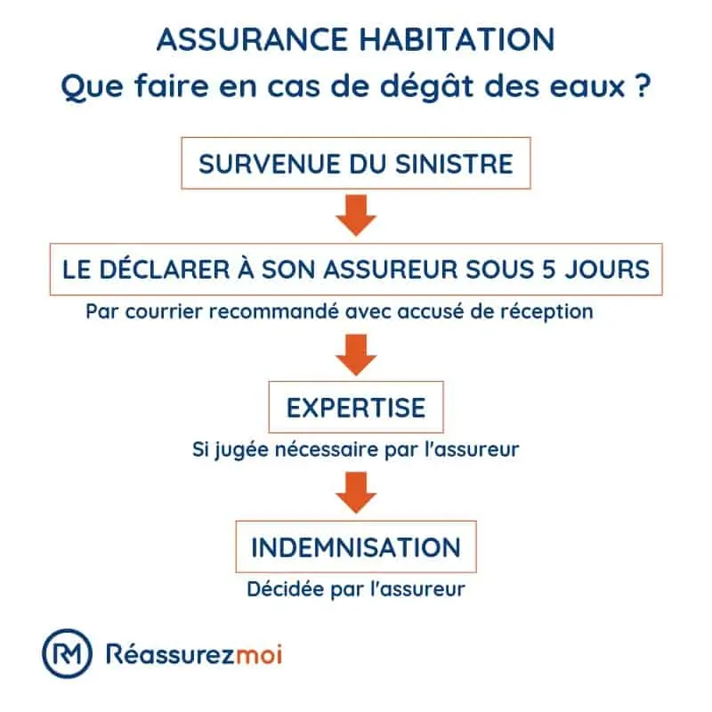 découvrez les implications d'une fuite de données dans le secteur de l'assurance moto. informez-vous sur les risques pour votre vie privée et les mesures à prendre en cas de violation de vos informations personnelles. protégez votre sécurité en ligne et comprenez vos droits.