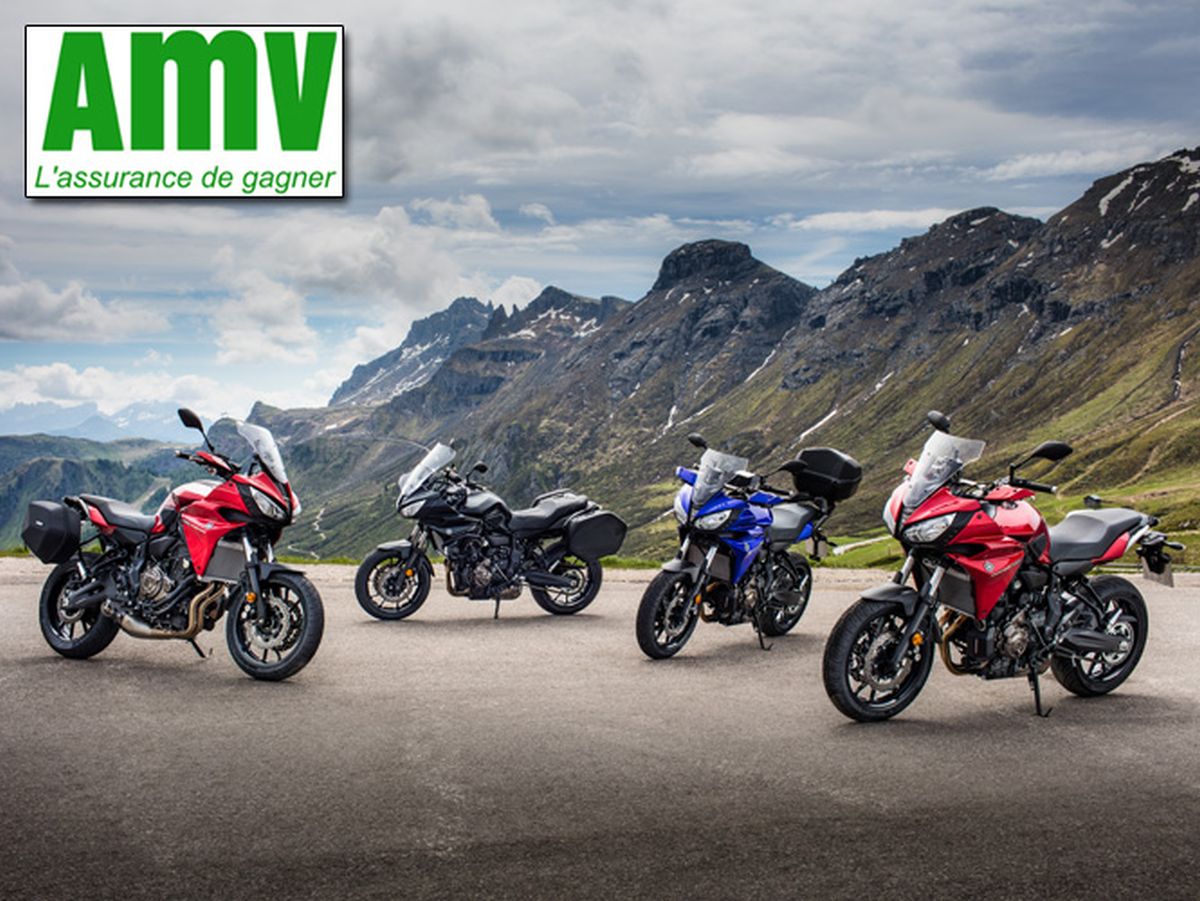 découvrez comment gérer efficacement votre compte amv avec nos conseils pratiques et astuces. profitez d'une expérience utilisateur simplifiée et optimisez vos opérations en toute sécurité.