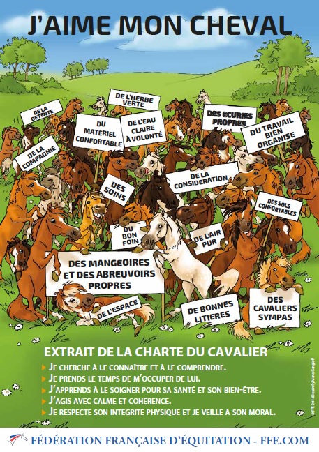 découvrez notre assurance cheval ffe, conçue spécifiquement pour protéger votre équidé et couvrir tous les risques liés à sa santé, ses déplacements et sa pratique sportive. profitez d'une garantie adaptée à vos besoins et à ceux de votre cheval, avec des services d'accompagnement personnalisés.