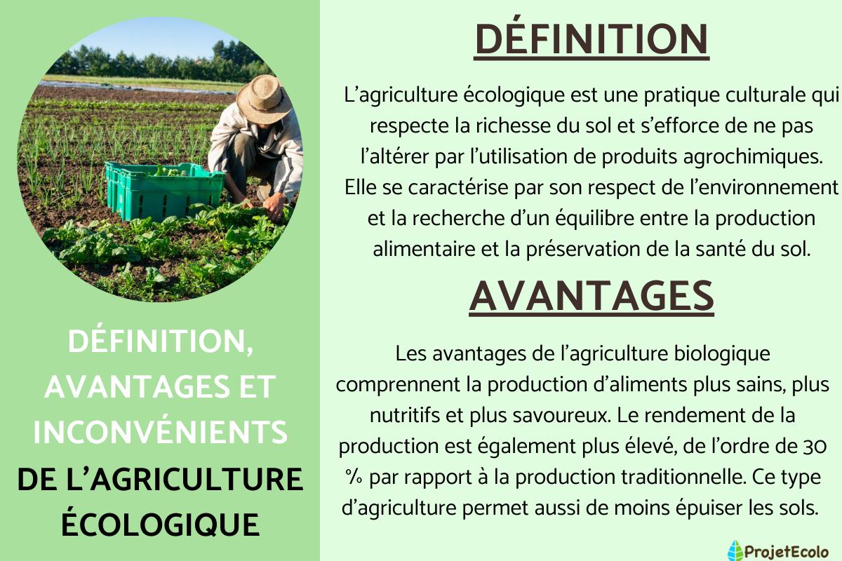 découvrez les avantages et inconvénients d'assurer votre furet. informez-vous sur les protections spécifiques, les coûts éventuels et les soins adaptés pour assurer le bien-être de votre compagnon à quatre pattes.