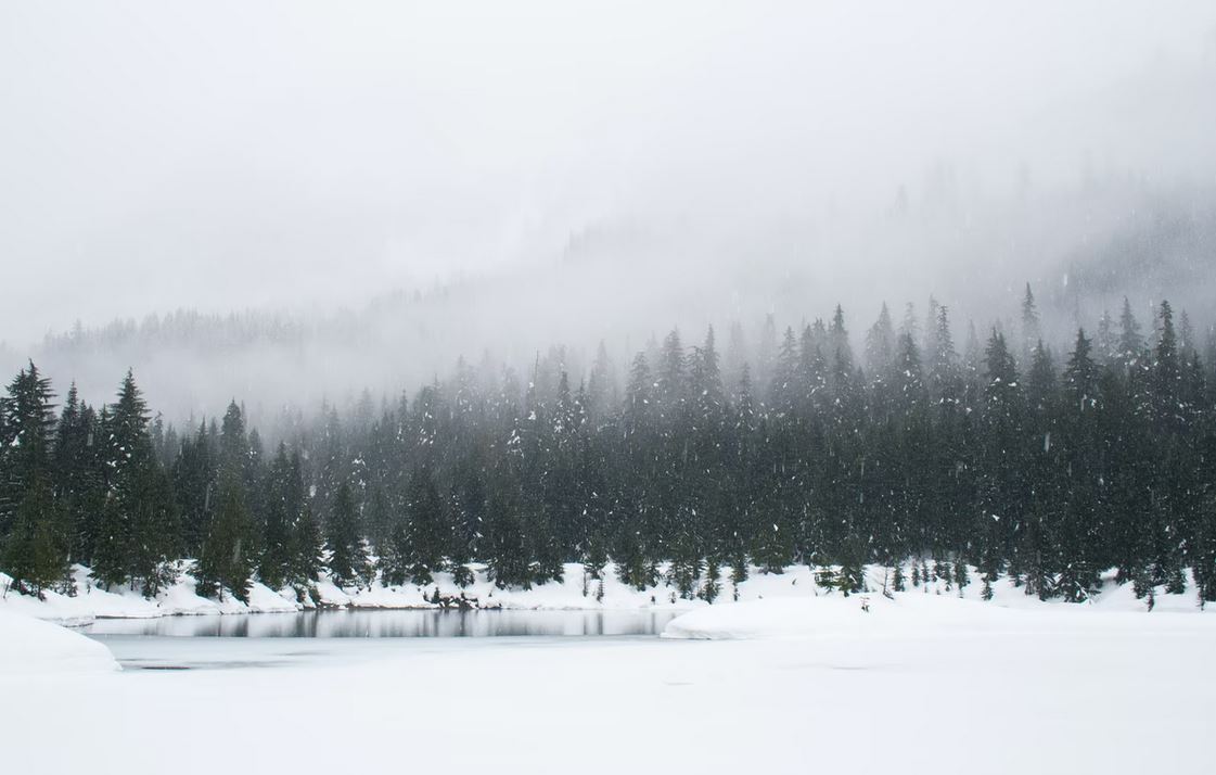 découvrez nos conseils pour l'hivernage de votre moto et assurez-vous de sa protection durant la saison froide. profitez de notre expertise en assurance moto pour un hiver serein!